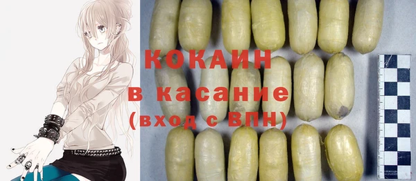 индика Алзамай